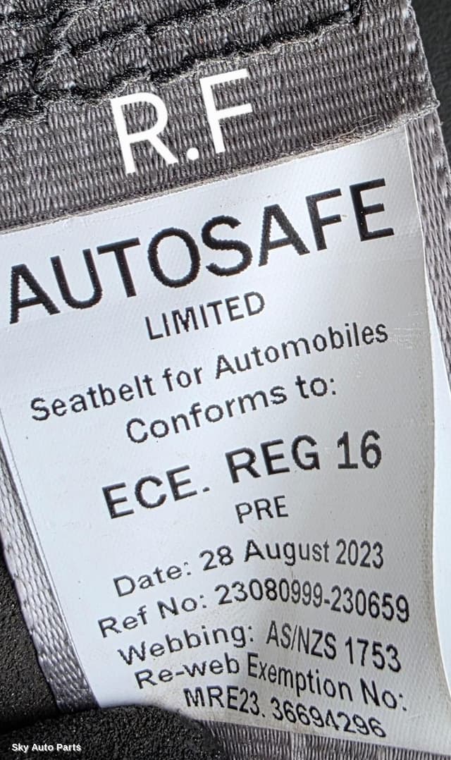 Seatbelt/Stalk