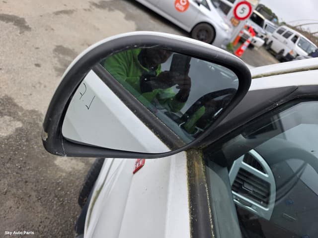 Left Door Mirror