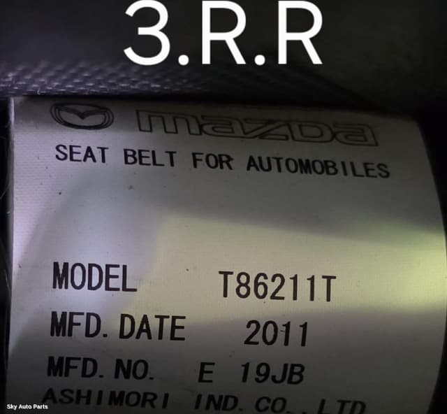 Seatbelt/Stalk