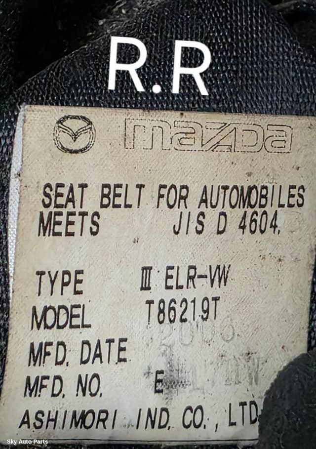 Seatbelt/Stalk