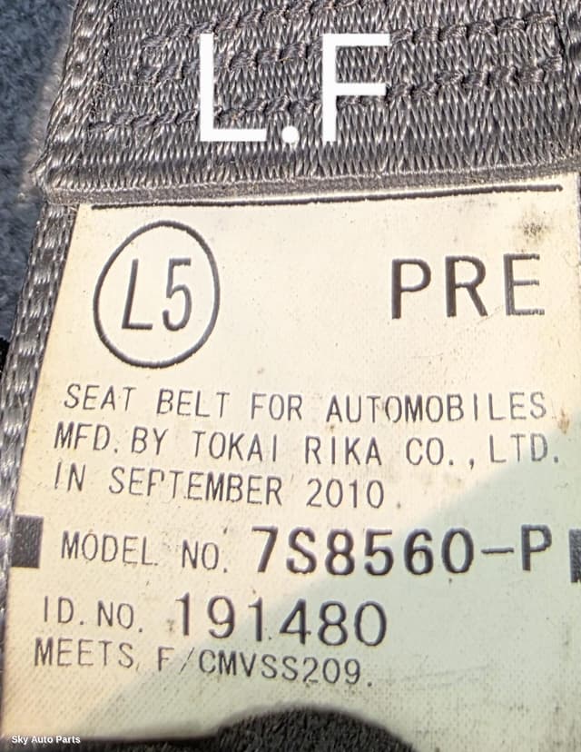 Seatbelt/Stalk