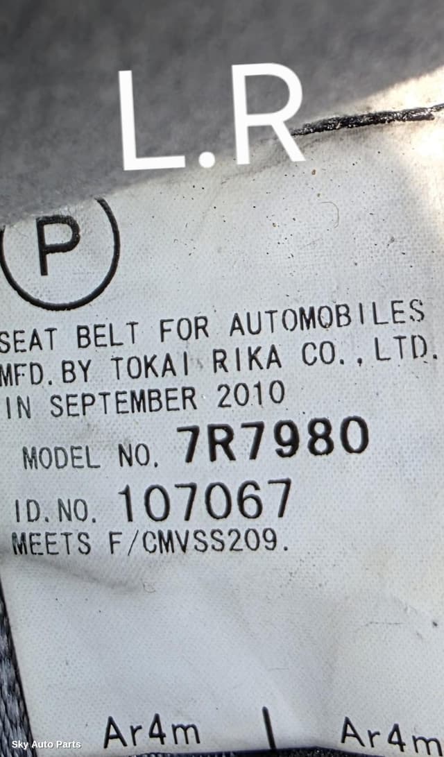 Seatbelt/Stalk