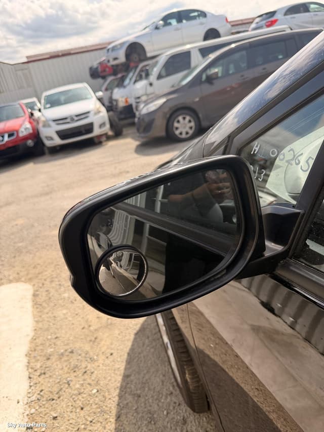 Left Door Mirror