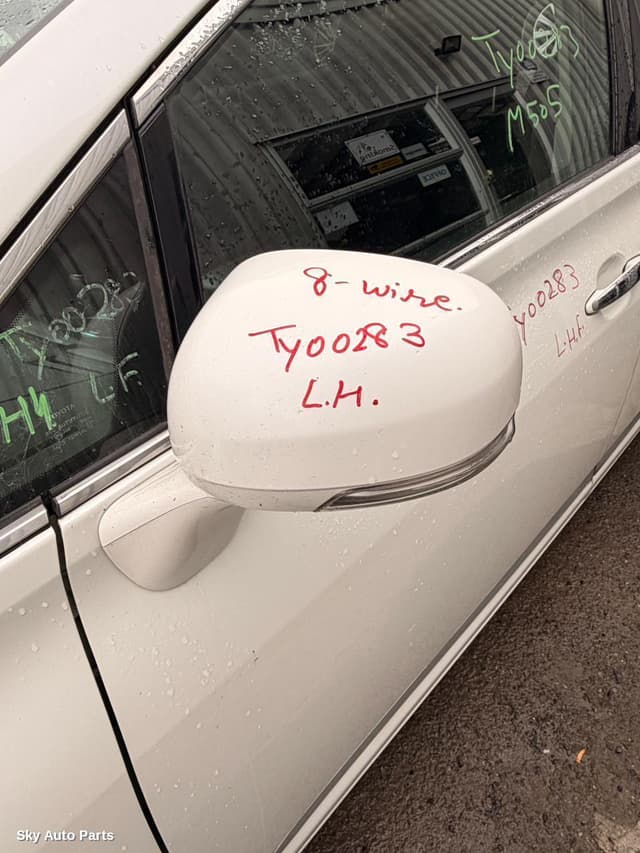 Left Door Mirror