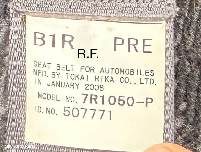 Seatbelt/Stalk