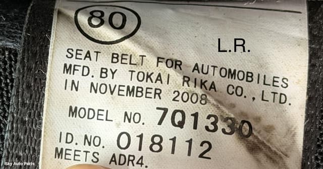 Seatbelt/Stalk