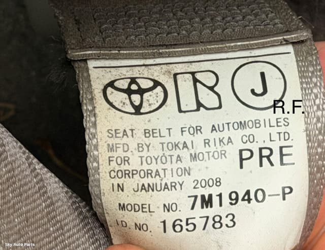 Seatbelt/Stalk