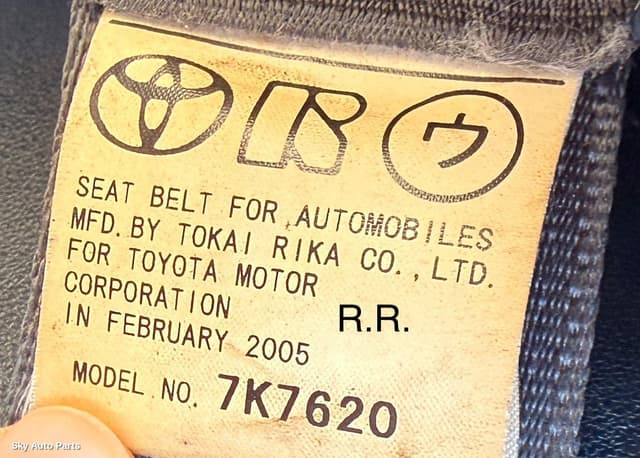 Seatbelt/Stalk