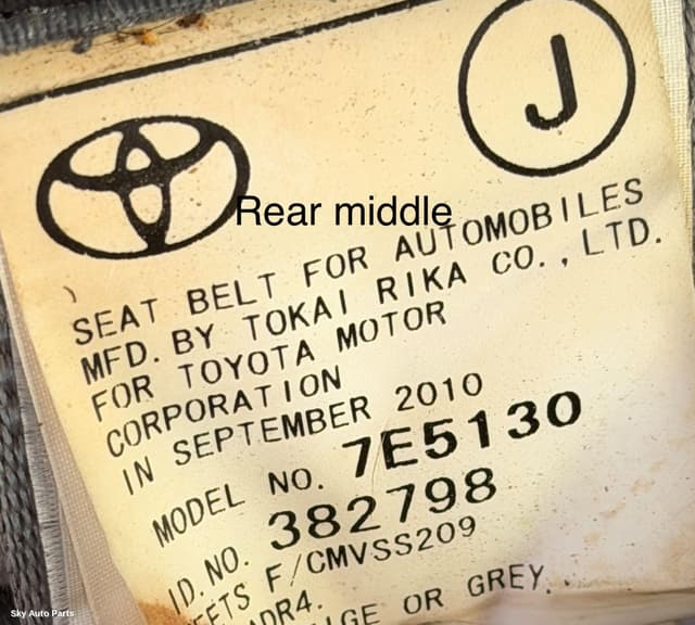 Seatbelt/Stalk