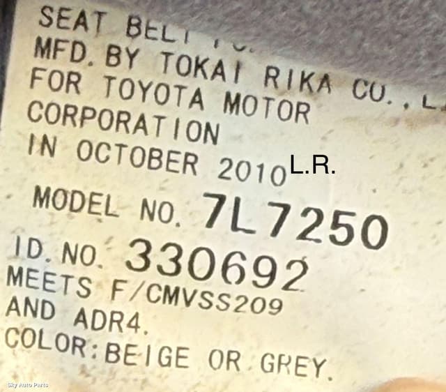 Seatbelt/Stalk