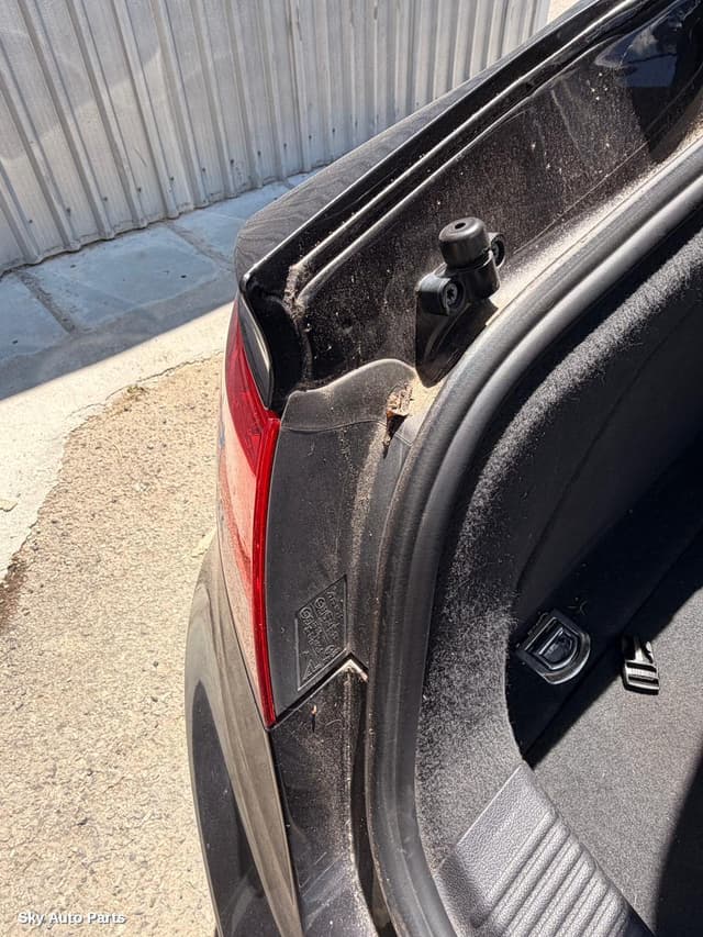 Left Taillight