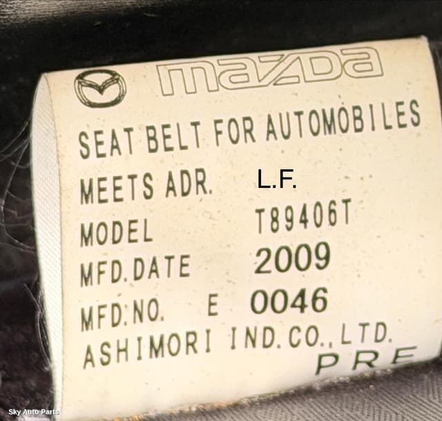 Seatbelt/Stalk