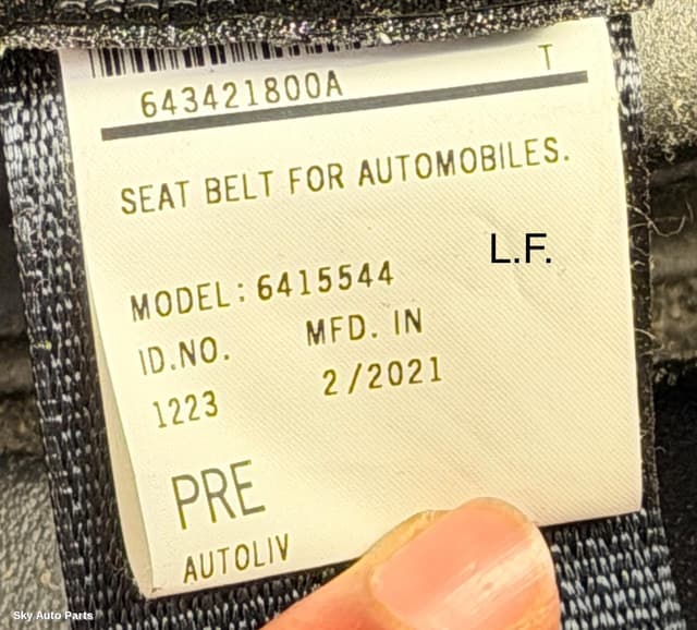 Seatbelt/Stalk