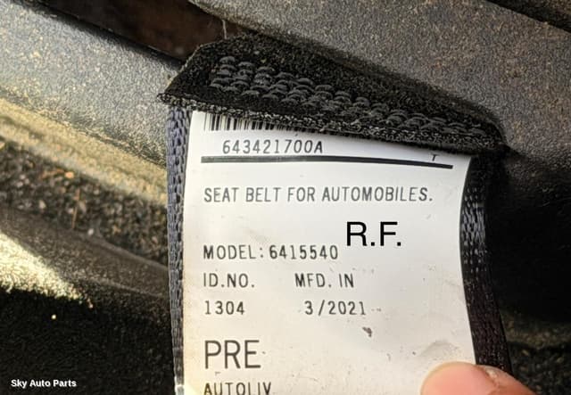 Seatbelt/Stalk