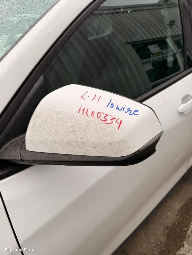 Left Door Mirror