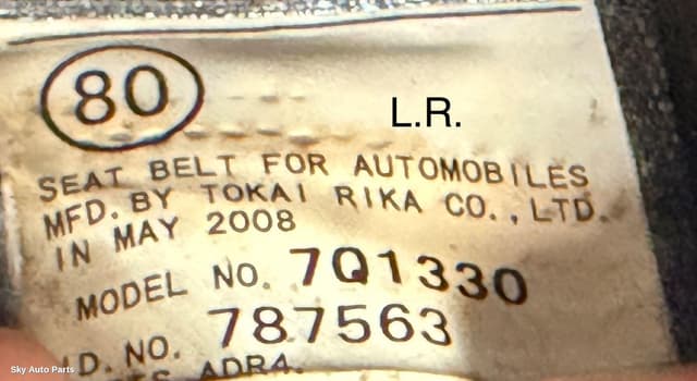 Seatbelt/Stalk