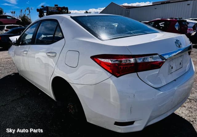 Rear/Tailgate Glass