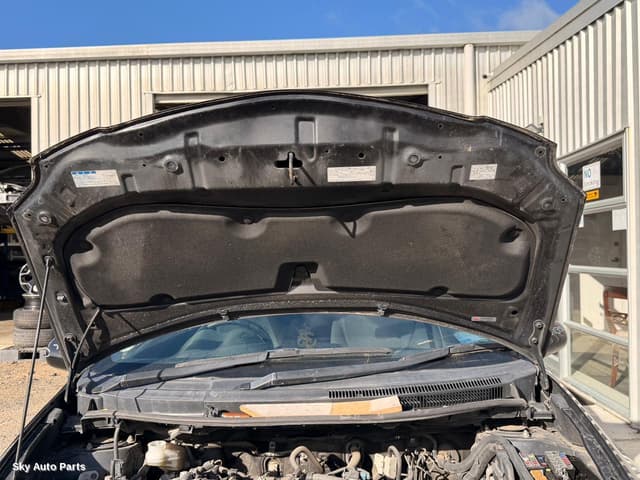 Bonnet