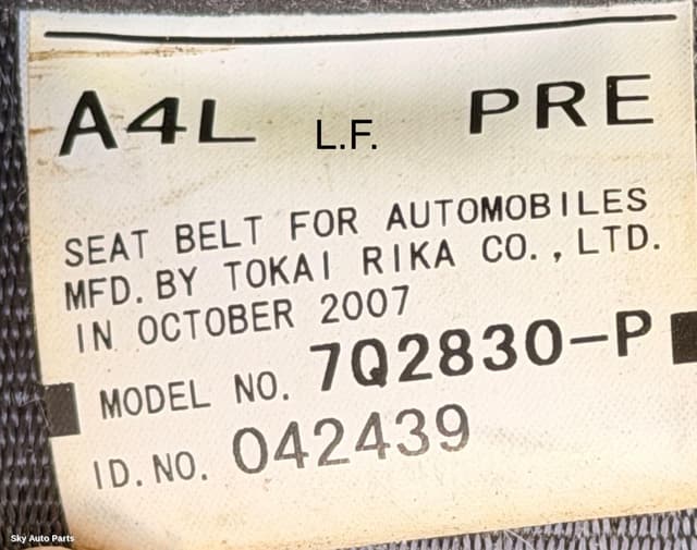 Seatbelt/Stalk