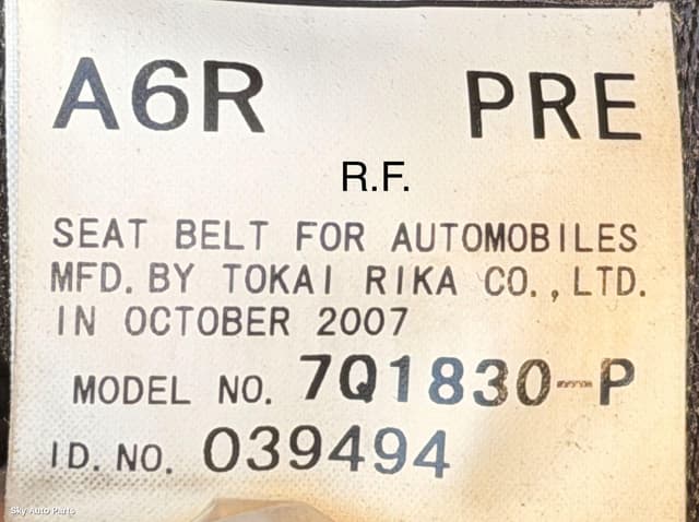 Seatbelt/Stalk