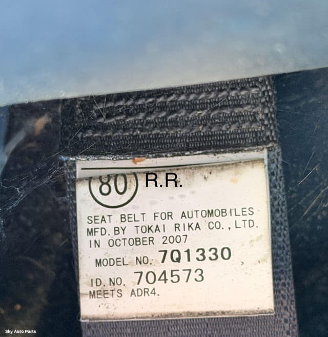 Seatbelt/Stalk