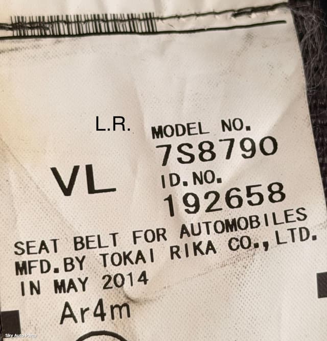 Seatbelt/Stalk