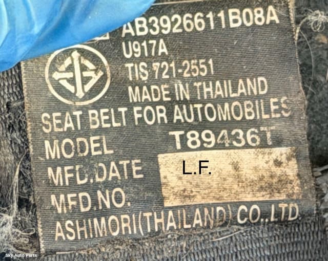 Seatbelt/Stalk
