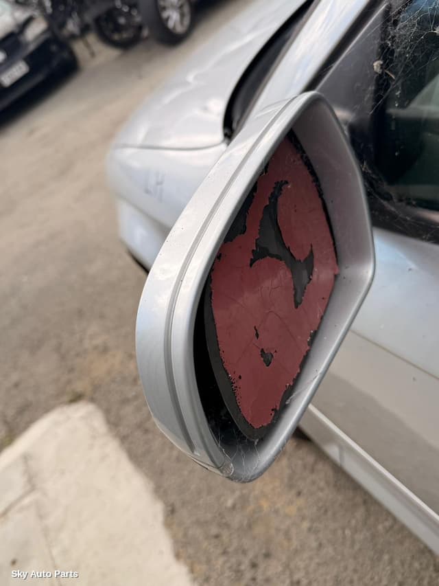 Left Door Mirror