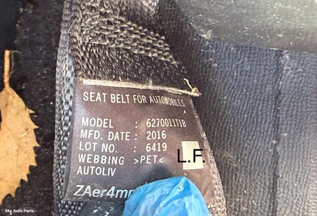 Seatbelt/Stalk