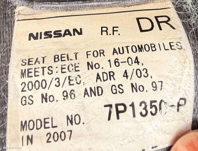 Seatbelt/Stalk