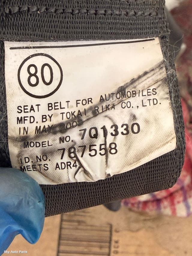 Seatbelt/Stalk