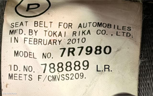Seatbelt/Stalk