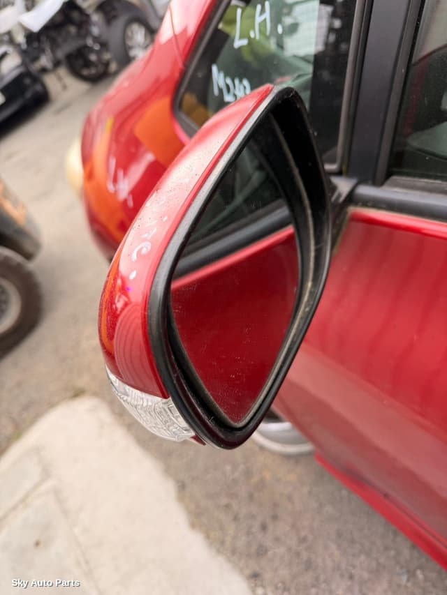 Left Door Mirror