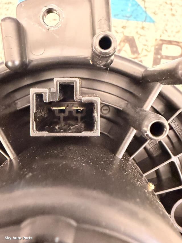 Heater Fan Motor