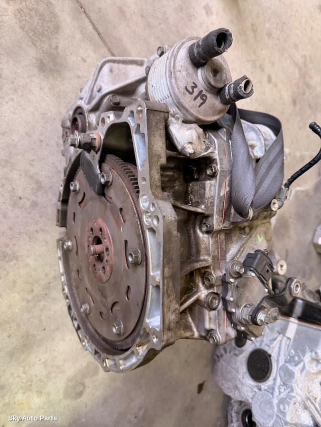 Trans/Gearbox