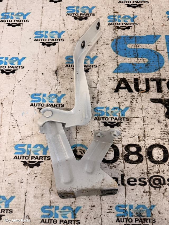 Bonnet Hinge/Strut