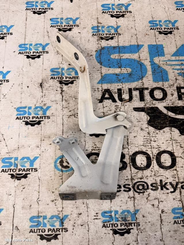 Bonnet Hinge/Strut