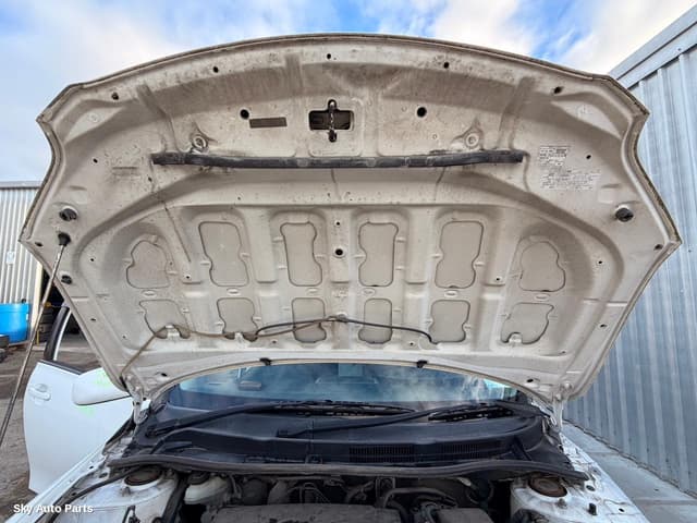 Bonnet