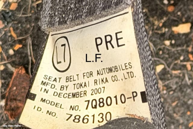 Seatbelt/Stalk