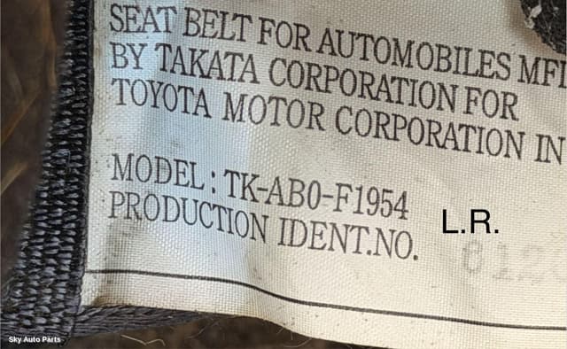 Seatbelt/Stalk