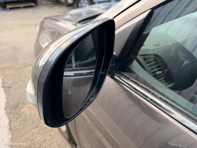 Left Door Mirror
