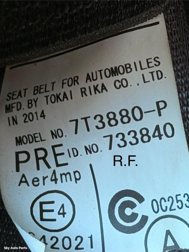 Seatbelt/Stalk
