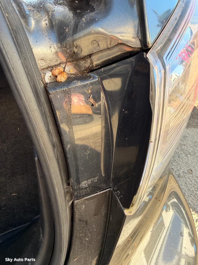 Right Taillight