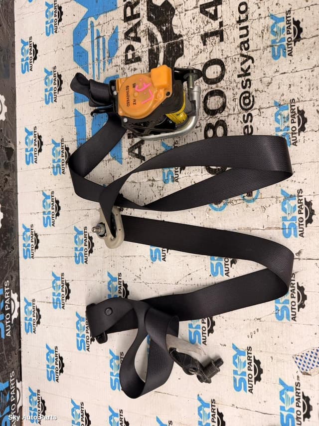 Seatbelt/Stalk
