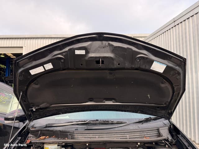 Bonnet