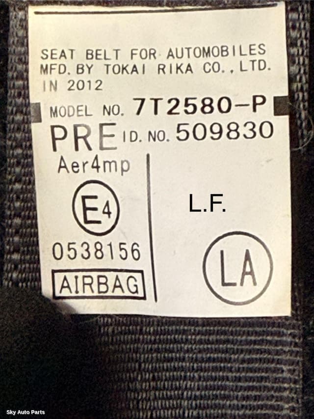 Seatbelt/Stalk