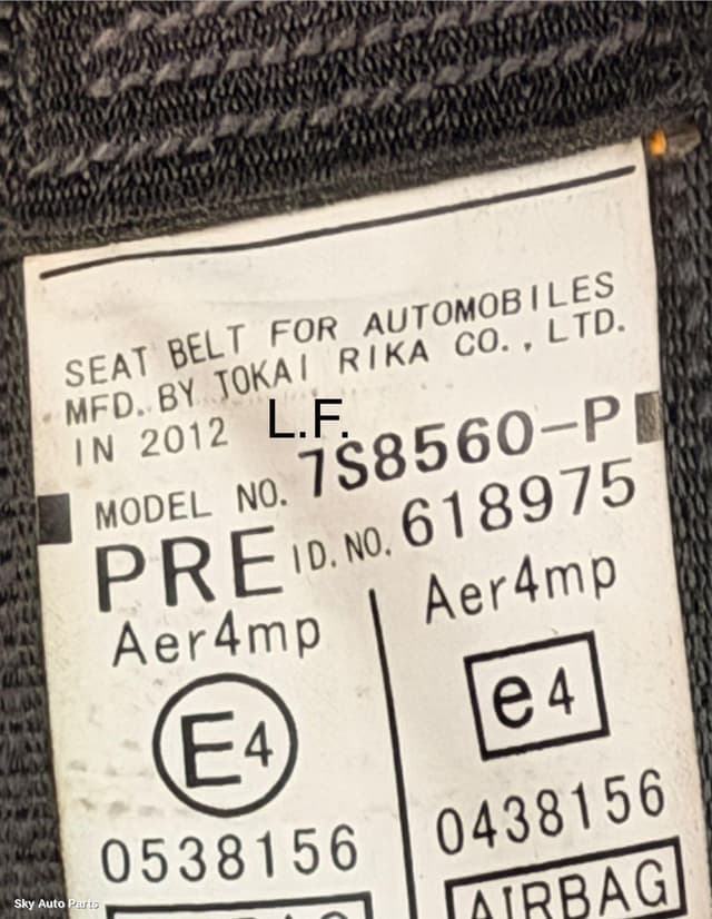 Seatbelt/Stalk