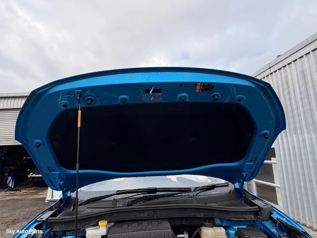 Bonnet