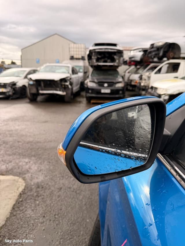 Left Door Mirror