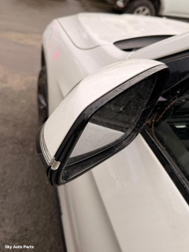Left Door Mirror